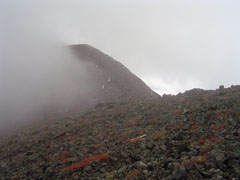 Mt. Humphreys in Flagstaff Arizona